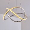 Saginaw Pendant Light LED matt nickel, 1-light source, Remote control, Colour changer