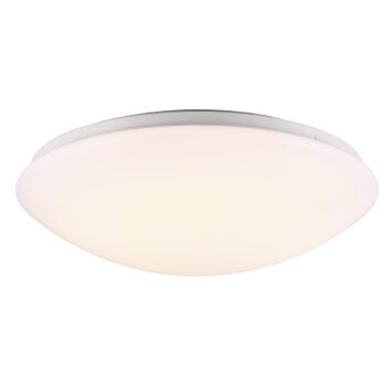 Nordlux ASK Ceiling light LED white, 1-light source, Motion sensor
