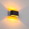 Dapp wall light gold, black, 1-light source