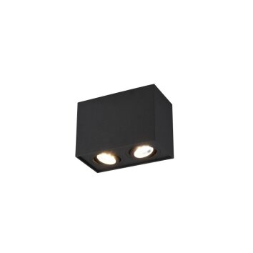 Ceiling Light Trio Leuchten BISCUIT black, 2-light sources