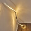 SAGINAW Floor Lamp LED matt nickel, 1-light source, Remote control, Colour changer