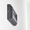 Outdoor Wall Light Alkmaar LED anthracite, 1-light source