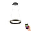Pendant Light Paul Neuhaus Q-VITO LED anthracite, 1-light source, Remote control