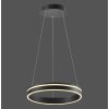 Pendant Light Paul Neuhaus Q-VITO LED anthracite, 1-light source, Remote control