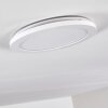 Siguna Ceiling Light LED white, 1-light source