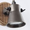 Spotlight Brilliant Seed Dark wood, black, 1-light source
