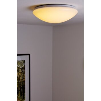 Globo KIRSTEN ceiling light LED white, 1-light source