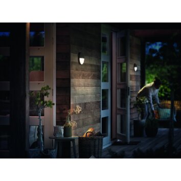 Philips CAPRICORN Outdoor Wall Light LED anthracite, 1-light source, Motion sensor