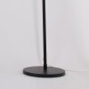 Steinhauer STRESA Floor Lamp black, 1-light source