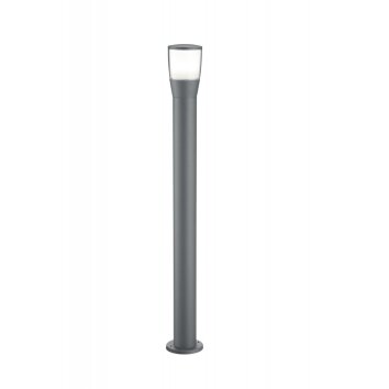 Trio SHANNON outdoor floor lamp LED anthracite, 1-light source