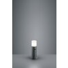 Trio HOOSIC pedestal light anthracite, 1-light source, Motion sensor