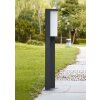 Trio SUEZ outdoor floor lamp LED black, 1-light source