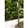 Trio SUEZ outdoor floor lamp LED black, 1-light source