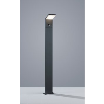 Trio PEARL pedestal light LED anthracite, 1-light source, Motion sensor