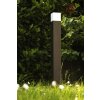 Trio HUDSON outdoor floor lamp black, 1-light source
