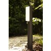 Trio SUEZ outdoor floor lamp LED black, 1-light source