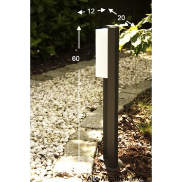 Trio SUEZ outdoor floor lamp LED black, 1-light source