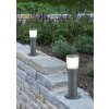 Trio SHANNON pedestal light LED anthracite, 1-light source