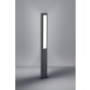Trio RHINE pedestal light LED anthracite, 2-light sources