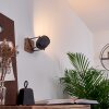 VANUATU Wall Light brown, black, 1-light source
