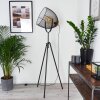 WESA Floor Lamp Aged nickel, 1-light source