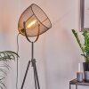 WESA Floor Lamp Aged nickel, 1-light source