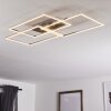 CHEKA Ceiling Light LED aluminium, 3-light sources, Remote control