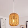 KRENS Pendant Light black, 1-light source