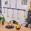 BLACO Pendant Light black, 5-light sources