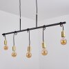 BLACO Pendant Light black, 5-light sources