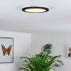 SIGUNA Ceiling Light LED black, 1-light source