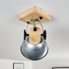 ORNY Ceiling Light brown, galvanized, 1-light source
