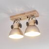 ORNY Ceiling Light brown, galvanized, 2-light sources
