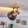 ORNY Ceiling Light brown, black, 1-light source