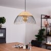 SHALO Pendant Light black, 1-light source