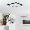 SIGUNA Ceiling Light LED black, white, 1-light source