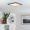 SIGUNA Ceiling Light LED black, white, 1-light source