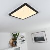 SIGUNA Ceiling Light LED black, white, 1-light source