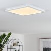 SIGUNA Ceiling Light LED white, 1-light source