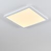 SIGUNA Ceiling Light LED white, 1-light source