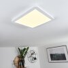 SIGUNA Ceiling Light LED white, 1-light source