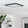 SIGUNA Ceiling Light LED black, white, 1-light source