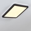 SIGUNA Ceiling Light LED black, white, 1-light source