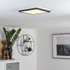 SIGUNA Ceiling Light LED black, white, 1-light source