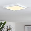 SIGUNA Ceiling Light LED white, 1-light source