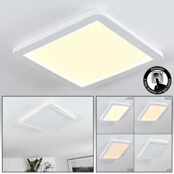 SIGUNA Ceiling Light LED white, 1-light source