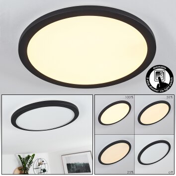 SIGUNA Ceiling Light LED black, white, 1-light source