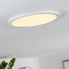 SIGUNA Ceiling Light LED white, 1-light source