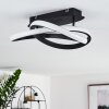 COCHATO Ceiling Light LED black, white, 2-light sources
