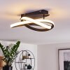 COCHATO Ceiling Light LED black, white, 2-light sources